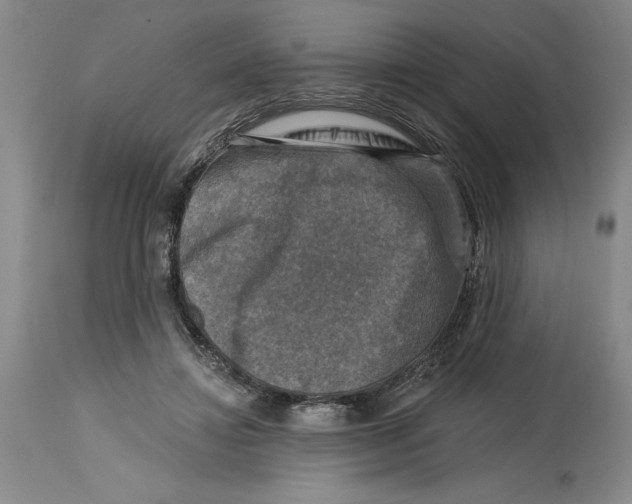 X0000114690452200911121522