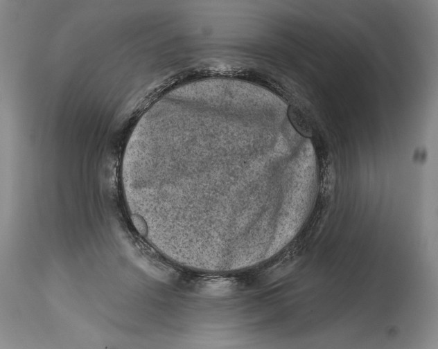 X0000114690456200911121522