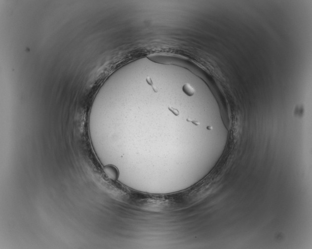 X0000114690458200911121522