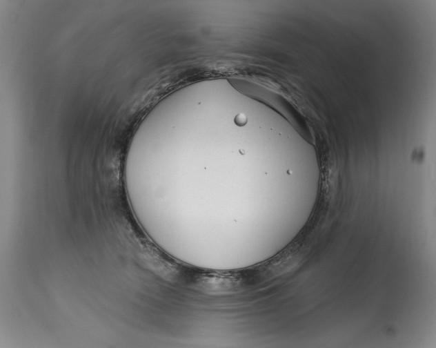 X0000114690466200911121522