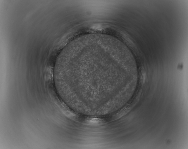 X0000114690467200911121522