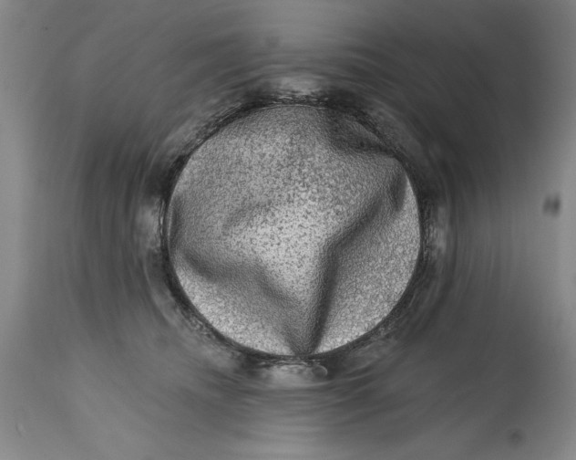 X0000114690468200911121522