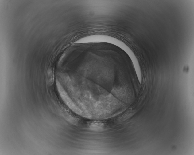 X0000114690471200911121522