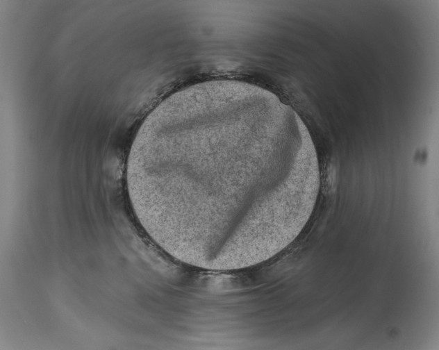 X0000114690472200911121522