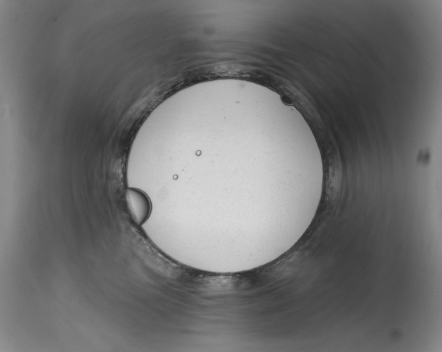 X0000114690473200911121522