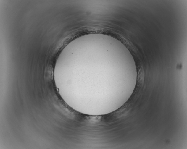 X0000114690474200911121522