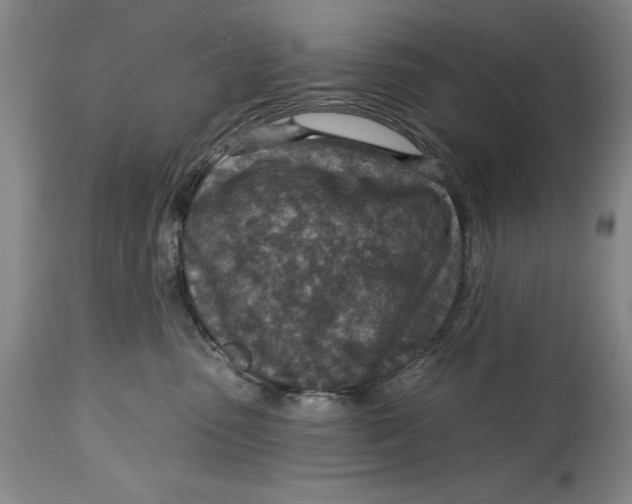 X0000114690475200911121522