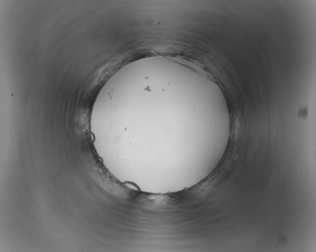 X0000114690478200911121522