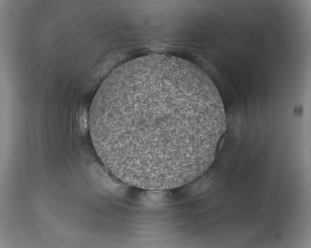 X0000114690479200911121522