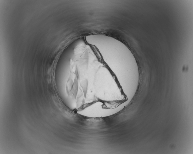 X0000114690480200911121522