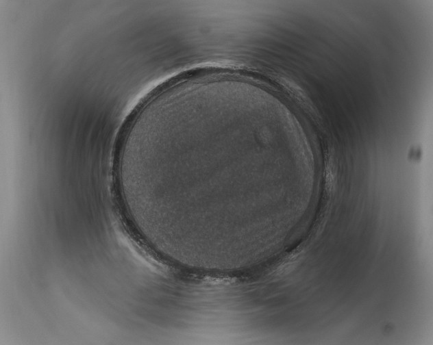 X0000114690484200911121521