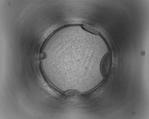 X0000114690485200911121521