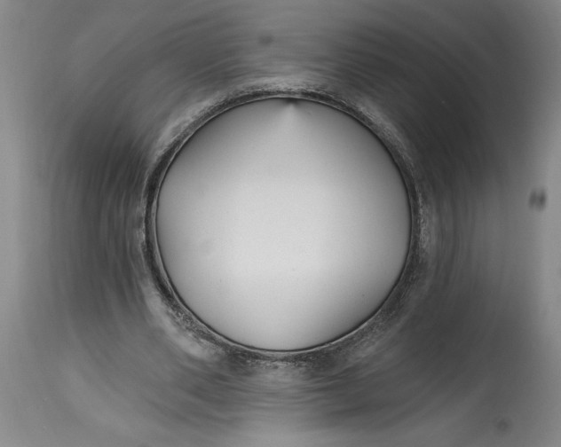 X0000114690486200911121521