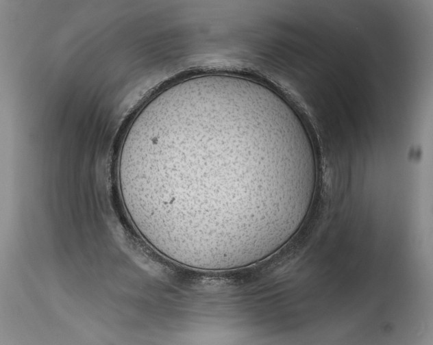 X0000114690487200911121521