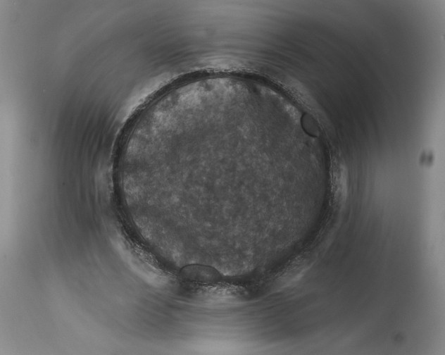 X0000114690488200911121521