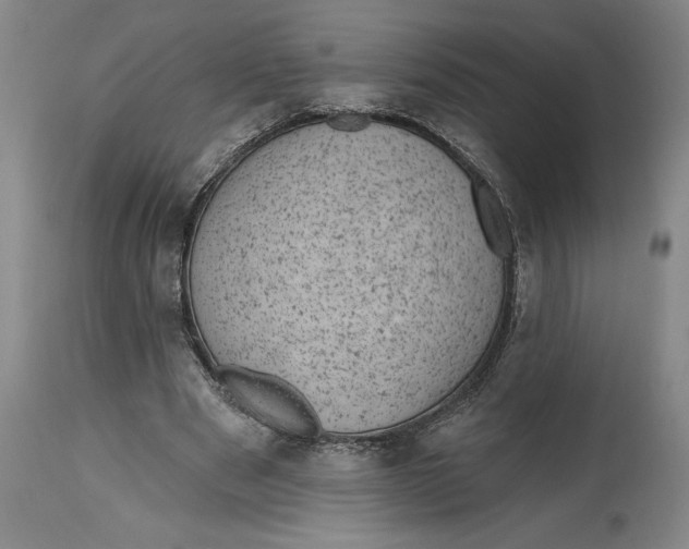 X0000114690489200911121521