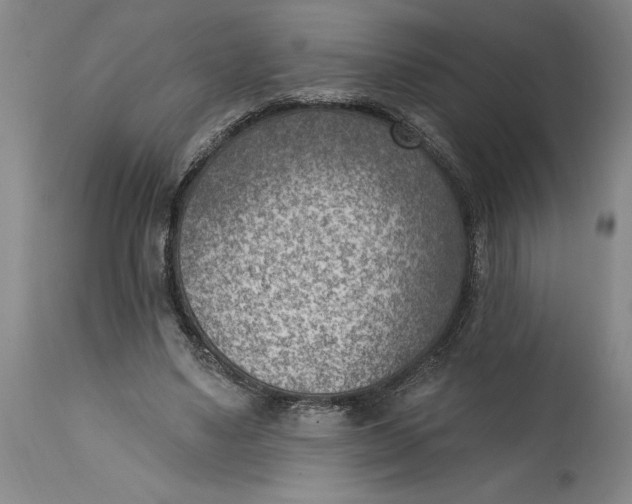 X0000114690491200911121521