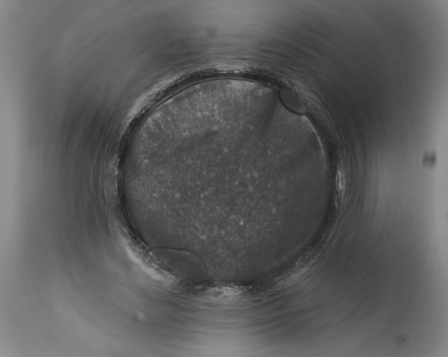 X0000114690492200911121521