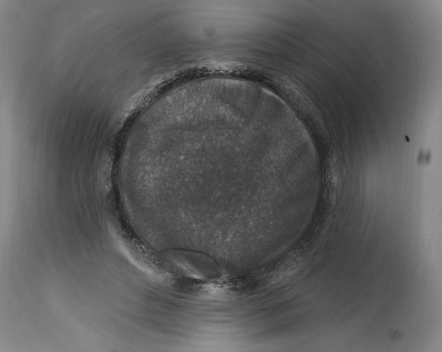 X0000114690496200911121521