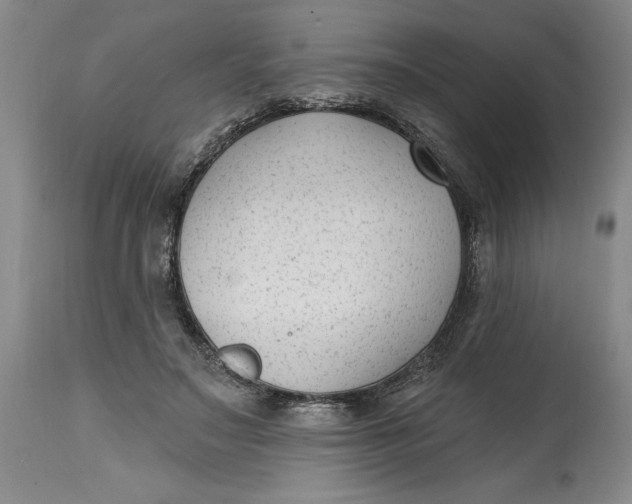 X0000114690499200911121521