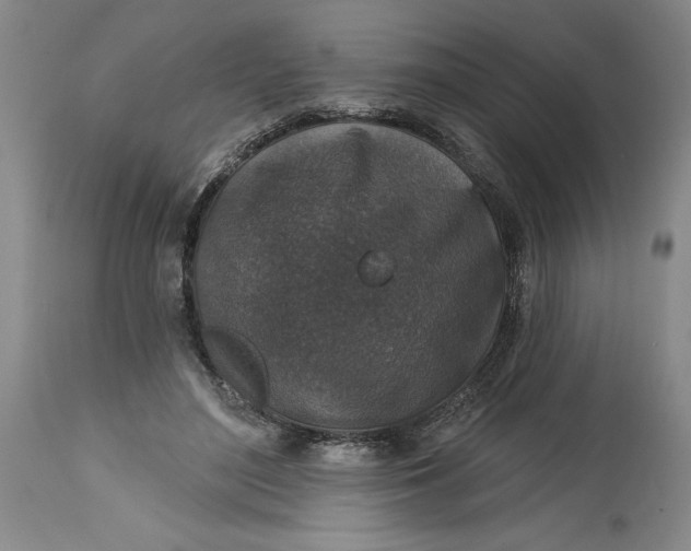 X0000114690500200911121521