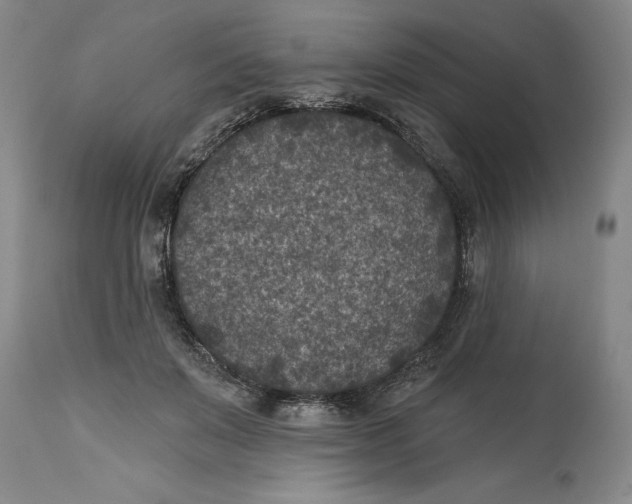 X0000114690503200911121521