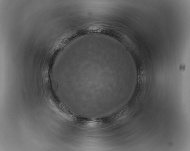 X0000114690504200911121521