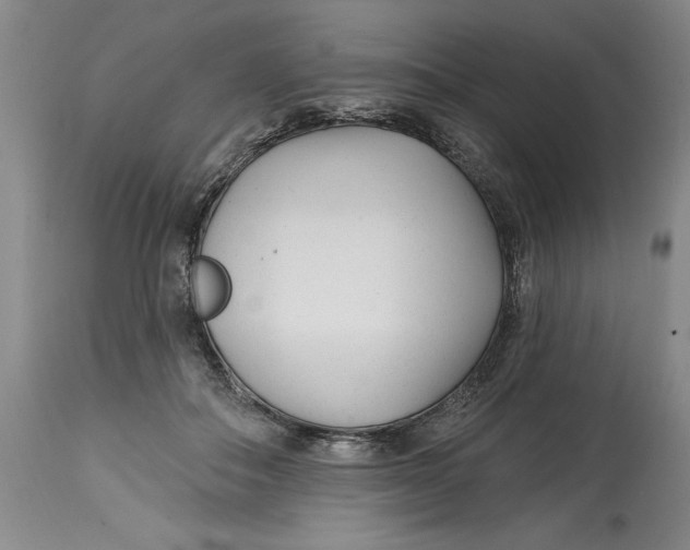 X0000114690506200911121521