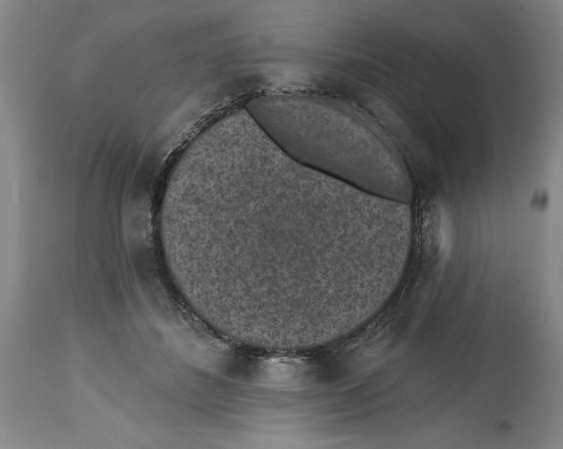 X0000114690508200911121521