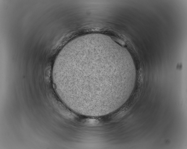 X0000114690509200911121521