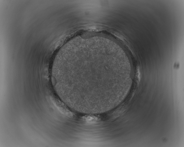 X0000114690512200911121521