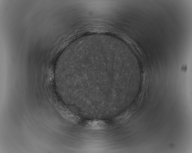 X0000114690517200911121521