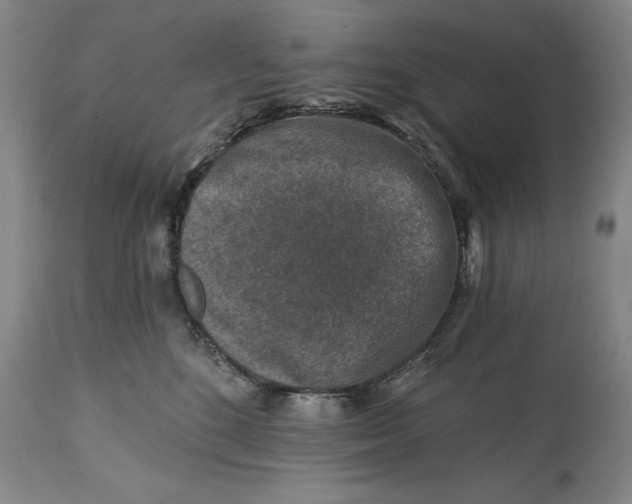 X0000114690520200911121521