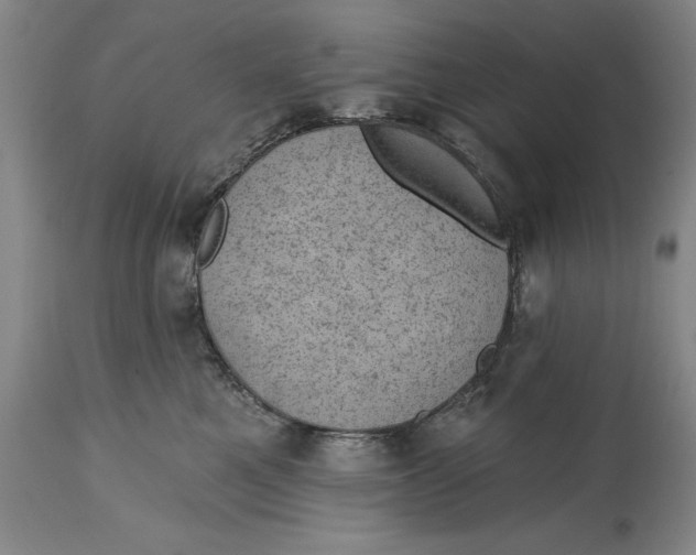 X0000114690521200911121521