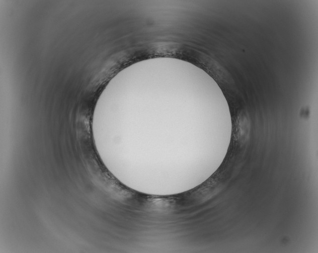 X0000114690522200911121521