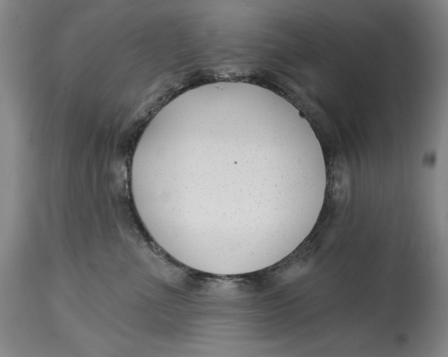 X0000114690523200911121521