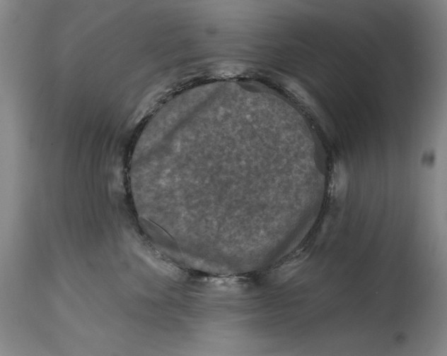 X0000114690524200911121521