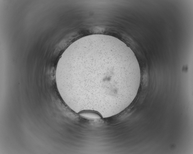 X0000114690525200911121521