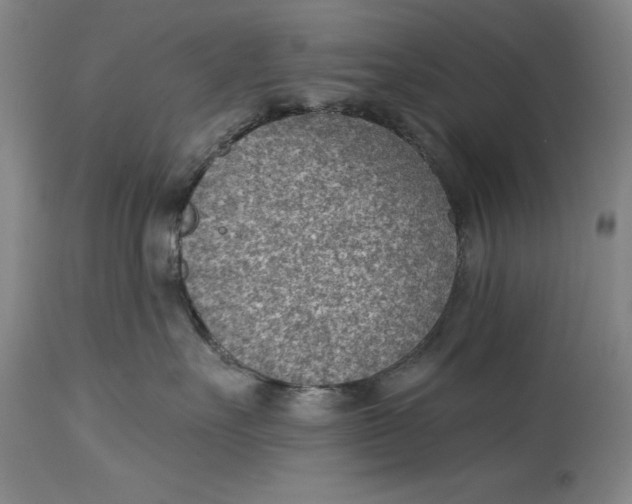 X0000114690527200911121521