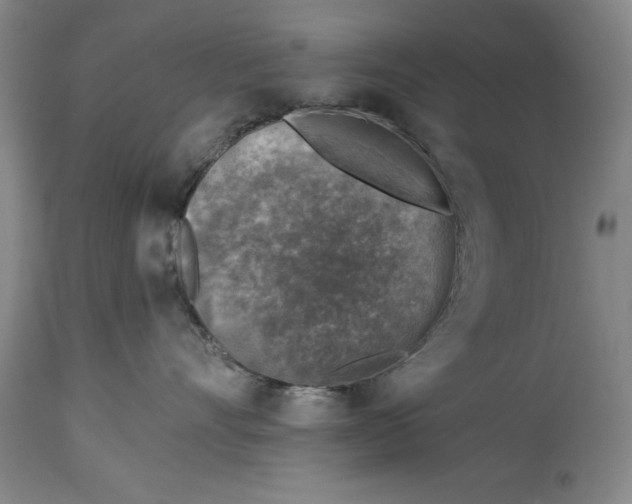 X0000114690528200911121521