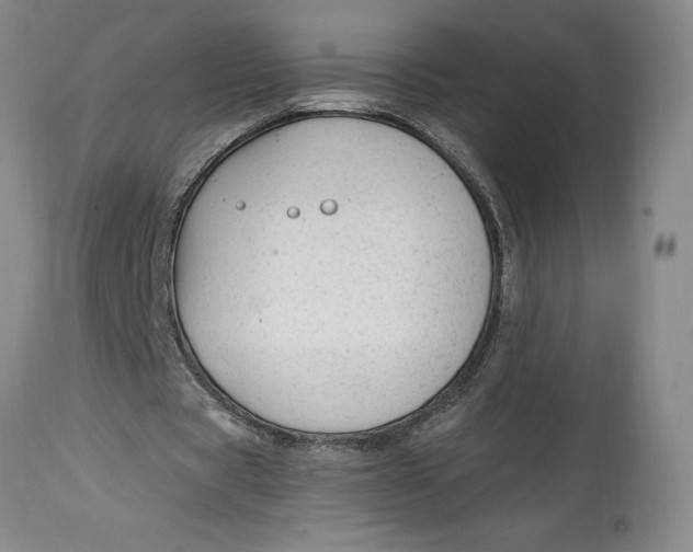 X0000114690529200911121520