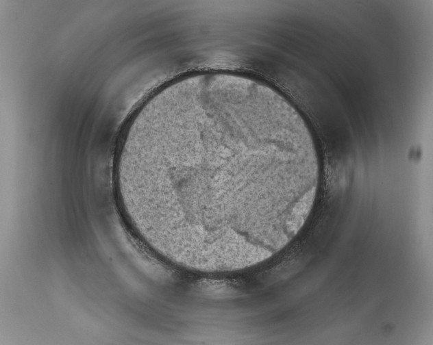 X0000114690534200911121520