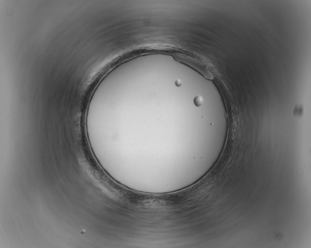 X0000114690535200911121520