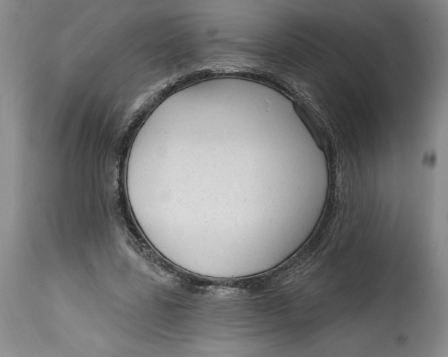 X0000114690539200911121520