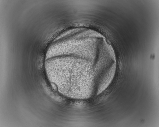 X0000114690546200911121520