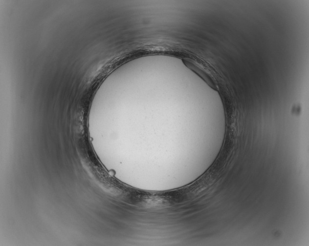 X0000114690547200911121520