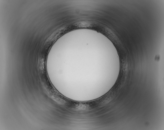 X0000114690549200911121520