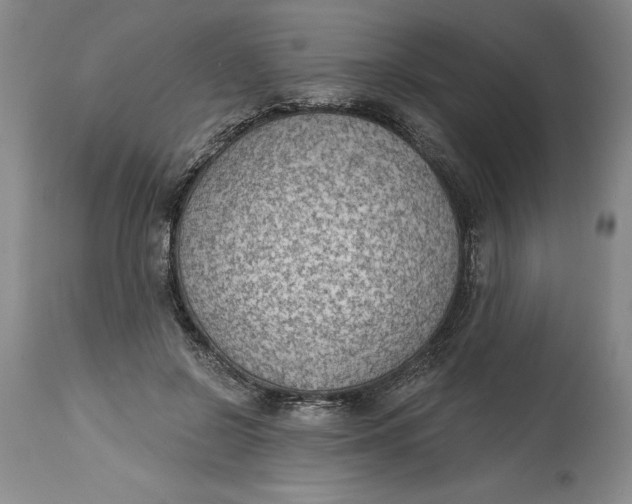 X0000114690550200911121520