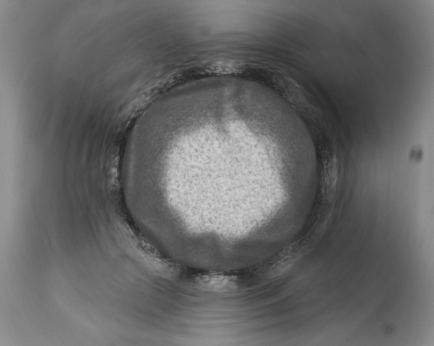 X0000114690553200911121521