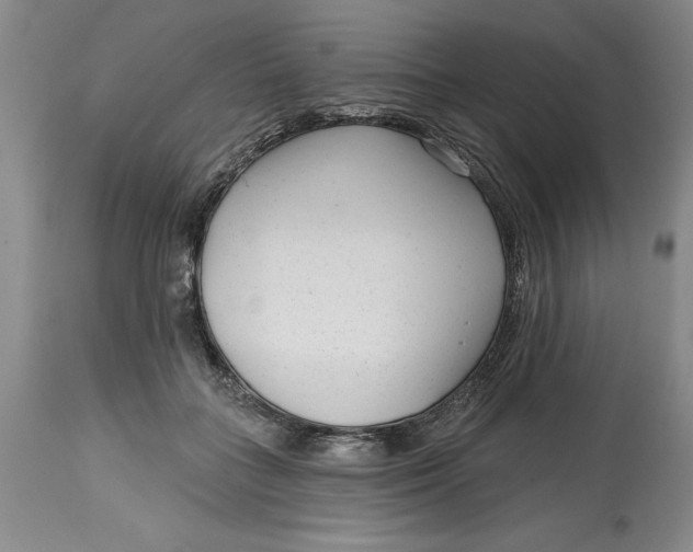 X0000114690555200911121521